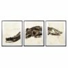 Natural-Curiosities-Alligator-Triptych-1