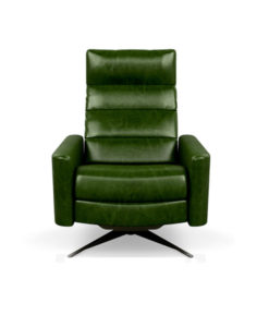 American Leather Cirrus chair Mont Blanc Evergreen
